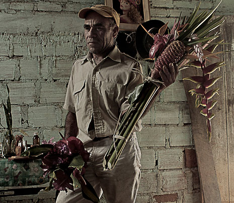 flores1